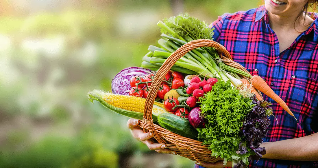 Exotic tender chia bread with Lime & Honey homemade recipe