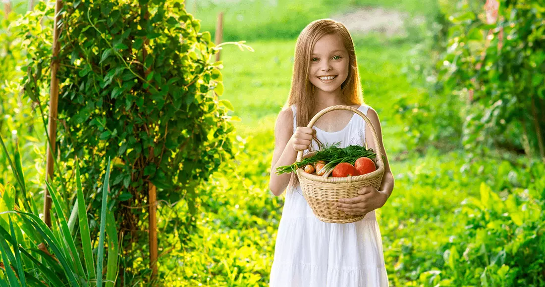 Exotic tender chia bread with Lime & Honey homemade recipe