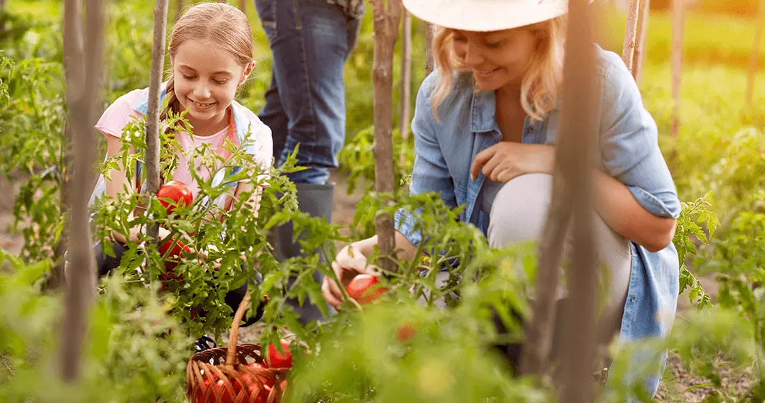 Feeling of Love is not lost in old friends in home