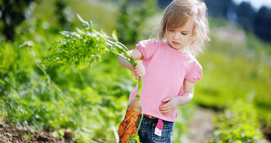 A Taste of Blackberry from Nature’s Perfection with proper diet